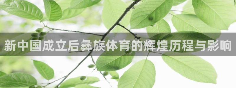 意昂体育：新中国成立后彝族体育的辉煌历程与影响