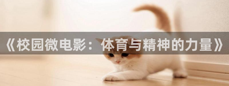 杏悦零能源集团