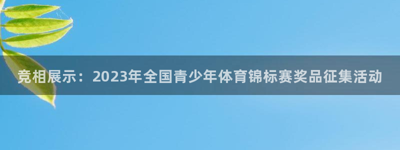 杏悦体育凯捷平台主管：竞相展示：2023年全国青少年体育锦标赛奖品征集活动