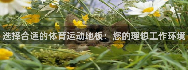 杏悦体育用品：选择合适的体育运动地板：您的理想工作环境