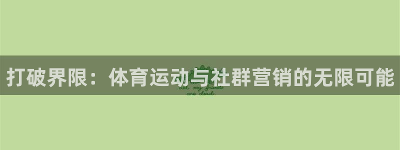 杏悦体育和杏耀是哪个公司的：打破界限：体育运动与社群营销的无限可能