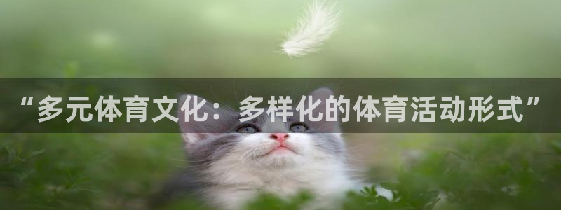成都意昂电子有限公司：“多元体育文化：多样化的体育活动形式”