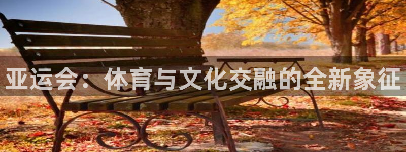 杭州意昂科技有限公司：亚运会：体育与文化交融的全新象征