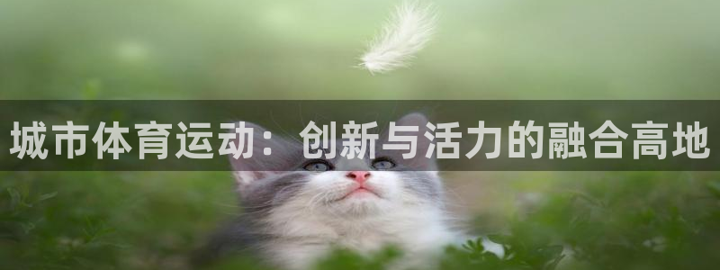 意昂体育注册：城市体育运动：创新与活力的融合高地